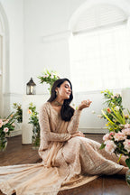 03 Piece Stitched Embroidery Chiffon Suit - Ready To Wear