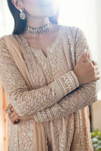 03 Piece Stitched Embroidery Chiffon Suit - Ready To Wear