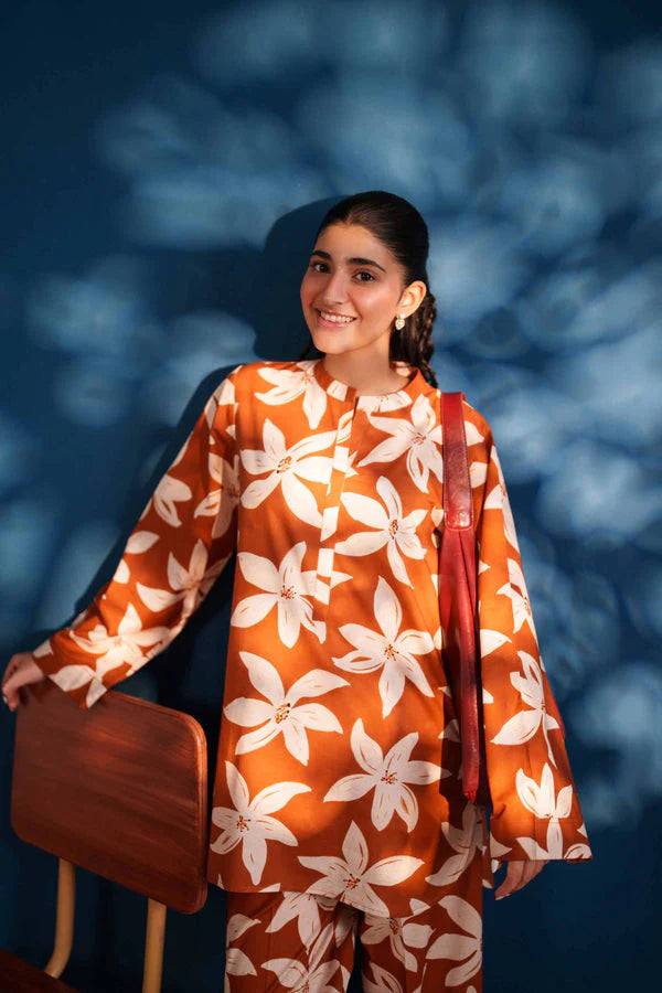 02 Piece Stitched Cotton Suit - Ready To Wear