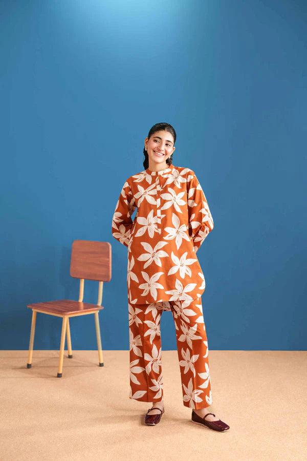 02 Piece Stitched Cotton Suit - Ready To Wear